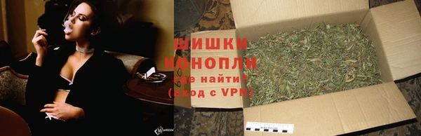 трава Шарыпово